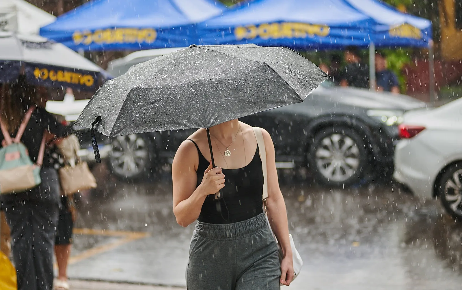 Ribeirão Preto acumula quase toda a chuva prevista para setembro em 15 dias