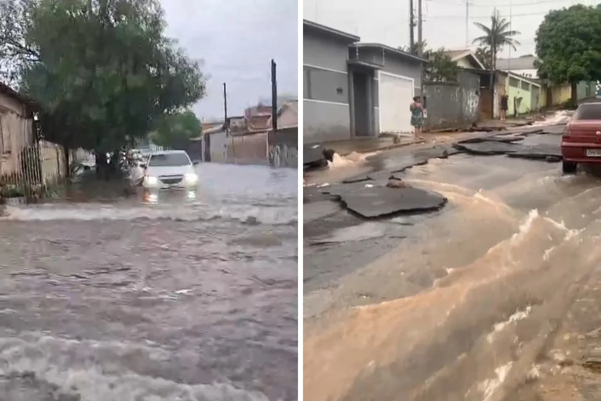 Temporal provoca alagamentos e queda de árvore em Cosmópolis