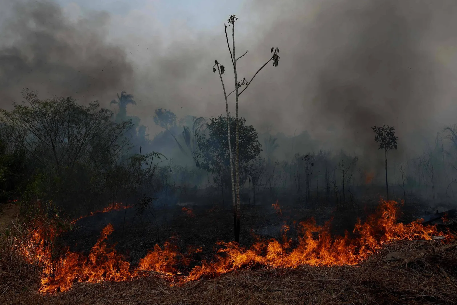 FAB mobiliza dois KC-390 para combater incêndios no Amazonas