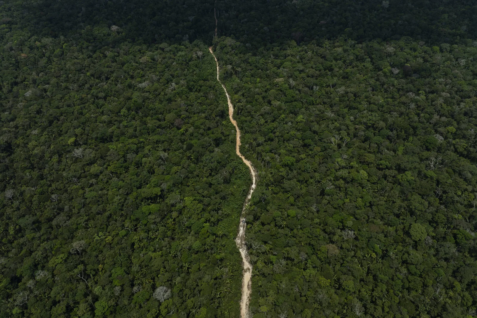 Licenciamento ambiental: indefinição no STF preocupa empresas e entidades