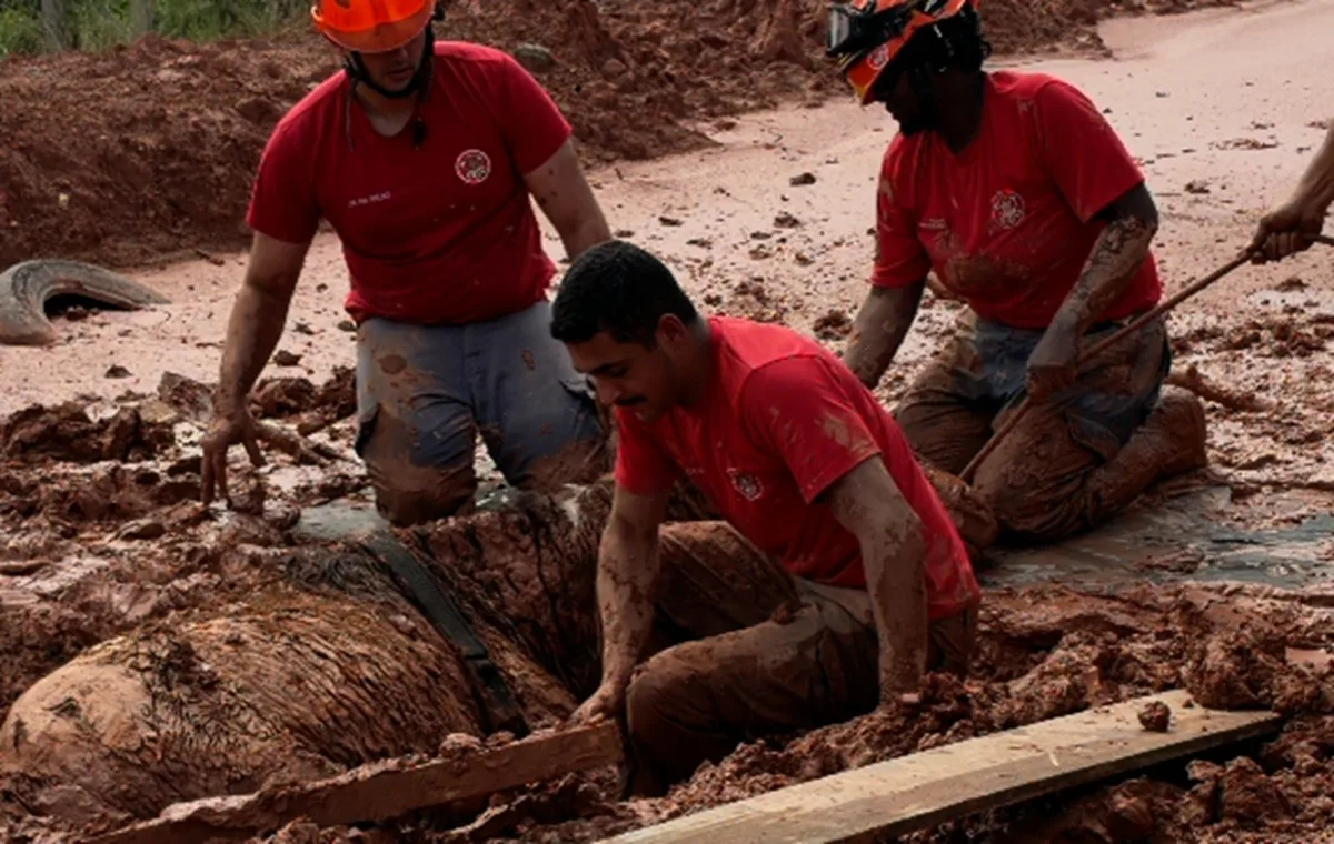 Égua é retirada de área soterrada após horas sob terra e lama em Itapevi